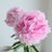 1lh7VCB1us4iUYS's profile image