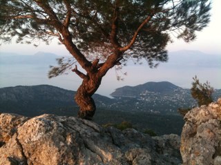 grigorisag's profile picture. 