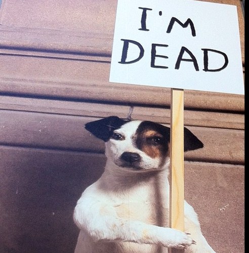 DPC74's profile picture. Professional charity fundraiser. Tweets don’t represent the charity I'm employed by.