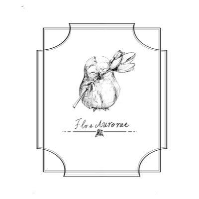 Flos Aurorae｜フロス•アウローラエ　旧名kurumi