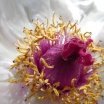 Bitcoin maximalist 🌤️🌤️ | Learning in public