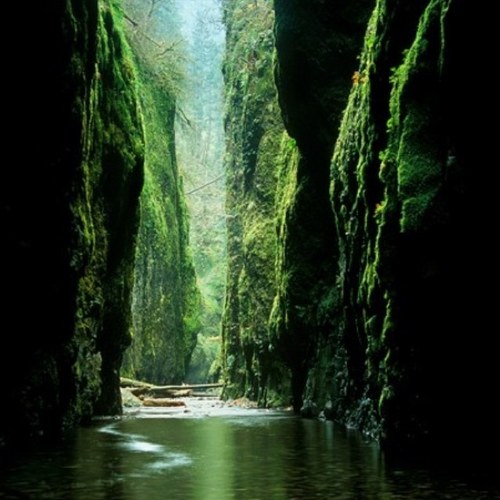 OregonProblemz's profile picture. Dont get me wrong, beautiful state but we all know the problems it causes as well.