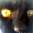 gatalan's profile image