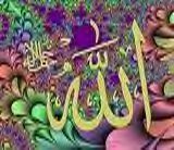 SUNNIMUSLIMA's profile picture. Modest Muslimah is as a Pearl in it's Shell single black and hispanic female with two ibn's soldiers of Allah