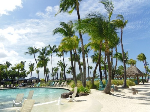 Metzelap's profile picture. 