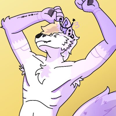 matt the purple snow fox