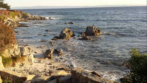 StevenAColes's profile picture. PRESIDENT, https://t.co/ksNZmmT11G | AI | IoT | Big Data | Virtualization