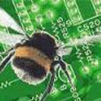 Bumblebee Auctions (@bumblebeeauctns) 's Twitter Profile