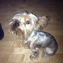 Alex August - @AlexAugust1 - Twitter