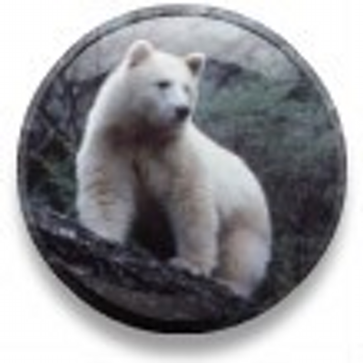 jungdisciple's profile image