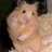 Chakra_Khan_'s profile image