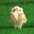 0nn4m3's profile image
