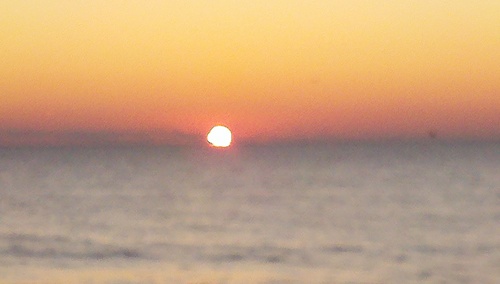 BigDee020's profile picture. 