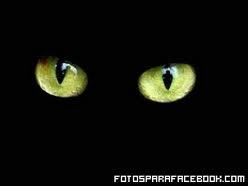 bradav16's profile picture. soy una persona disciplinada me gusta el parkour y todo lo relacionado con ello si quieres conocerme pos q esperas twteame