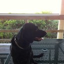 Heather See Ya - @See_Ya666 - Twitter