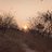 anjaan_2026's profile image
