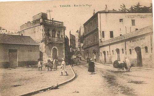 naityoussef1's profile picture. 