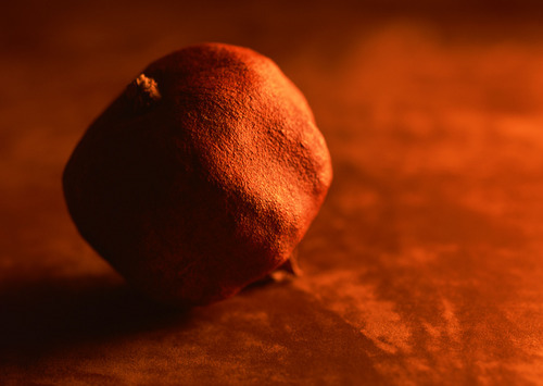 vacuum's profile picture. 