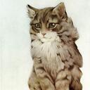 Katina Allen - @Purring54 - Twitter