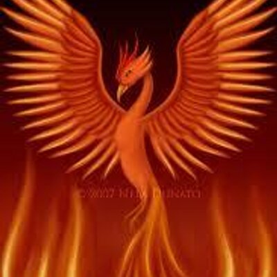 RisingFoinix's profile image