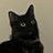 xanyev's profile image