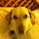 Kim Reich - @kas1036 - Twitter