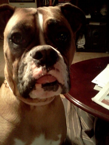 HatfieldAngie's profile picture. 