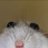 Perifuh's profile image