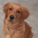 Cherry Brown - @Cherry_Mendler - Twitter