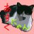 himatama_ask's profile image