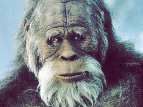 Bigfoot find iphone in dead hunter pocket, bigfoot have learned much. Also #bigfoot always #followback ,also unfollow those who unfollow bigfoot