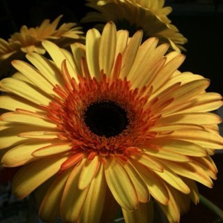 3saSadler's profile picture. sinner. forgiven. loved.