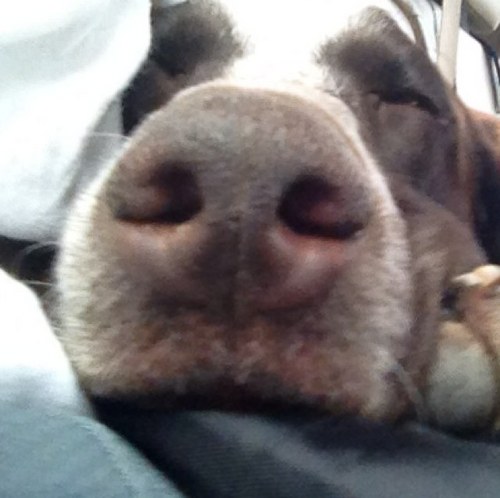 alexXpalo's profile picture. 