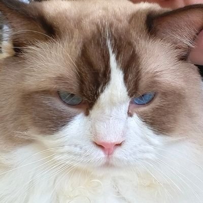 mlkppRthecutest's profile picture. fan account |ไม่ค่อยเช็ค dm ถ้าไม่ตอบ รบกวนเมนชั่นบอกหน่อยนะคะ