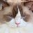mlkppRthecutest's profile image