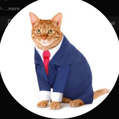 HotdawgWooderV2 Profile Picture