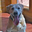 Michael DeWolf - @Kosmo_Kramer - Twitter