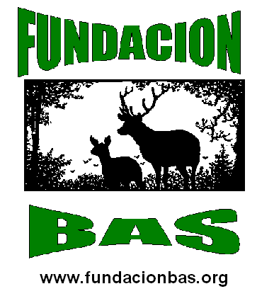 Fundacion BAS