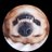 _p_i_l_a_r's profile image