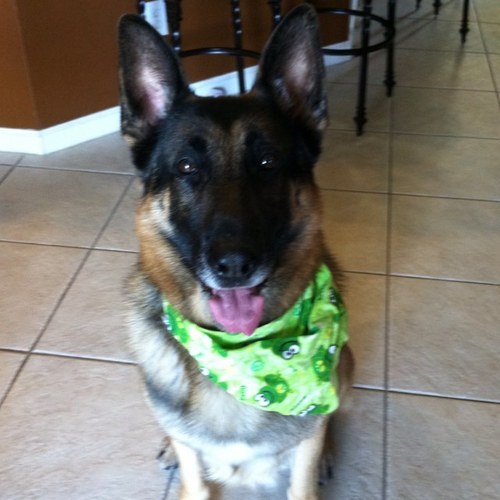 AryelleAssault's profile picture. Long hair. Don't care.