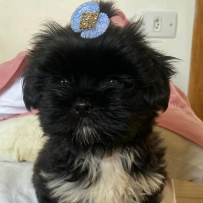 Fran 🧙🏻‍♀️