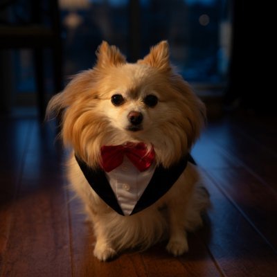 DoggoTux