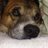 1025ron's profile image