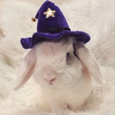bunnerony🐰🎀🍂