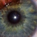 Jarrod Wallace - @jarrodwallace - Twitter