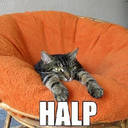 Crystal Wood - @peejjeep - Twitter