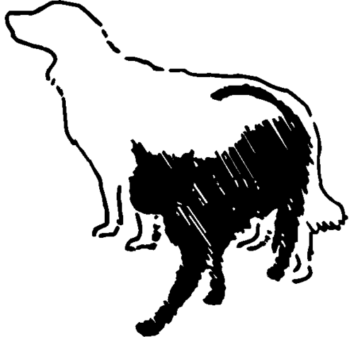 CCHSVolunteers's profile picture. Champaign County Humane Society Volunteers