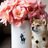 kazu115984981's profile image