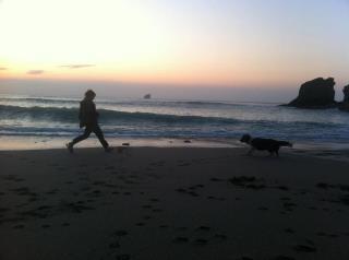 LauraChriston's profile picture. Back in the hot seat @harveysfoundrytrust (she/her), Socially Engaged Practice MA student @LeicsMusStud believes in accessibility of arts & culture for everyone