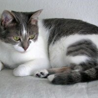Birgit (@birgitm123) 's Twitter Profile